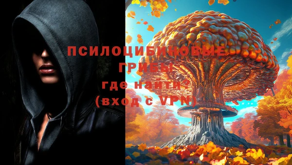 соль курить ск Няндома