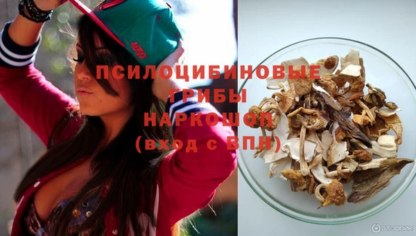 соль курить ск Няндома