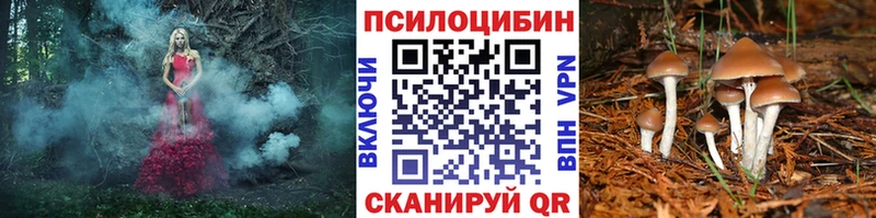 Галлюциногенные грибы ЛСД  Пыталово 
